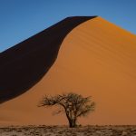 Sossusvlei has an endless choice of locations for stunning landscape photos