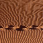 Footsteps in the dunes of Sossusvlei