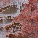 Patterns of red salt at Walvis Bay in Namibia