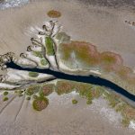 Exploring Walvis Bay wetlands from the air on our Namibia photo tour