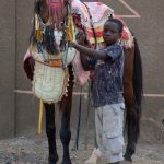 Caring for Batonu horses is a task of great pride. Each one is treated like a god