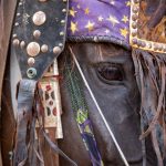 Detail of a decorated Batonu horse