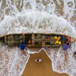 The captain of a Beninese fishing pirogue supervises his incoming catch. Pirogues have to be landed quickly in high surf conditions on the coast of Benin