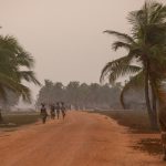 Beninese women take their fish home for dinner