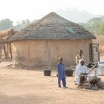 Pretty villages of settled Fulani people in Benin. They are very clean and very well organised. To reach them you walk through groves of wild cashew trees