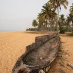 An old pirogue sits beneath the towering coconut palms that line the coast of Benin