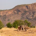 Explore remote Otamari or Tatasomba houses in northern Benin on the Wild Images Benin photography tour