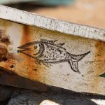 Brightly decorated pirogues ply their way across all of Benin's coastal waters and inland lakes