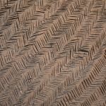 Explore the beautiful tata houses of the Otamari, or Somba, people on a photography tour of Benin