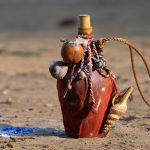 Learn to capture travel photos on the Wild Images Benin photography tour