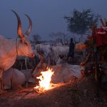 Blue hour photography of a Mundari cattle camp on our South Sudan photography tour