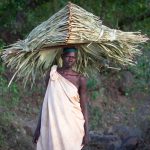 A Laarim woman carrying thatched grasses to cover an animal enclosure in her village