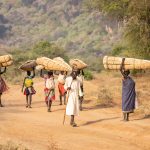 Laarim women carrying roofing materials in the foothills of the stunning Kimotong Mountains of South Sudan