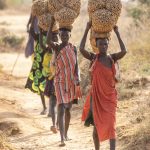 A group of Laarim women carry bundled roofing materials to their village on our South Sudan photo tour