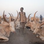 A young Mundari boy takes a break from collecting dung in the cattle camp at sunrise