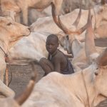 A young Mundari boy gathers dung to be dried for fires in his camp on our South Sudan photo tour