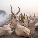 A young boy stops and smiles aside the gigantic Ankole Watusi cows of the Mundari people