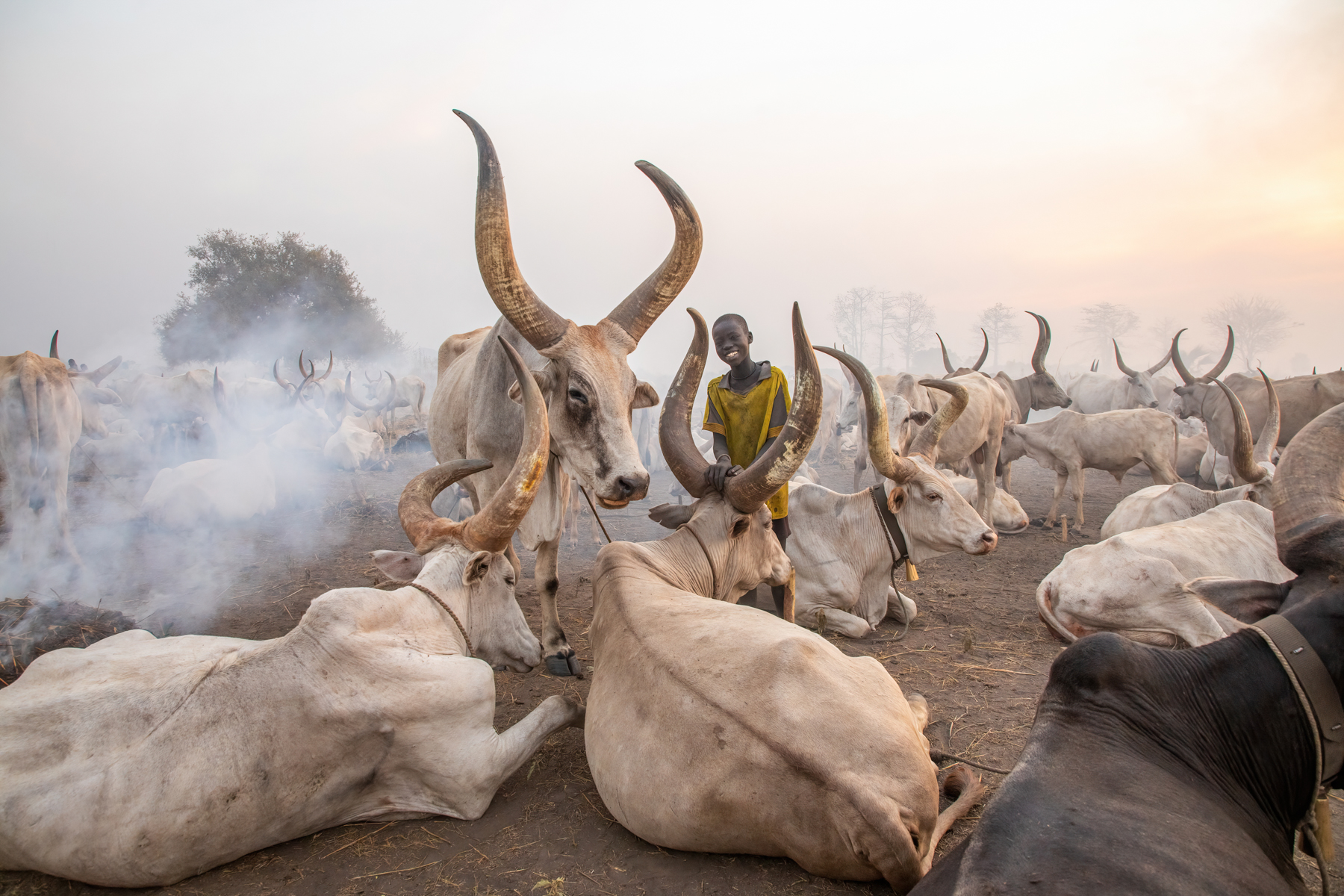 A young boy stops and smiles aside the gigantic Ankole Watusi cows of the Mundari people