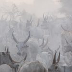 Our South Sudan photography tours take place in the peak season for dust and smoke