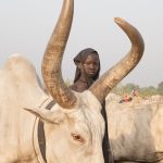 A pretty Mundari girl takes a break after milking her cow in the morning