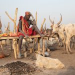 A Mundari man on his bed with his toothbrush. The Mundari prize their cows so much that they will even sleep beside their favourite cow each night