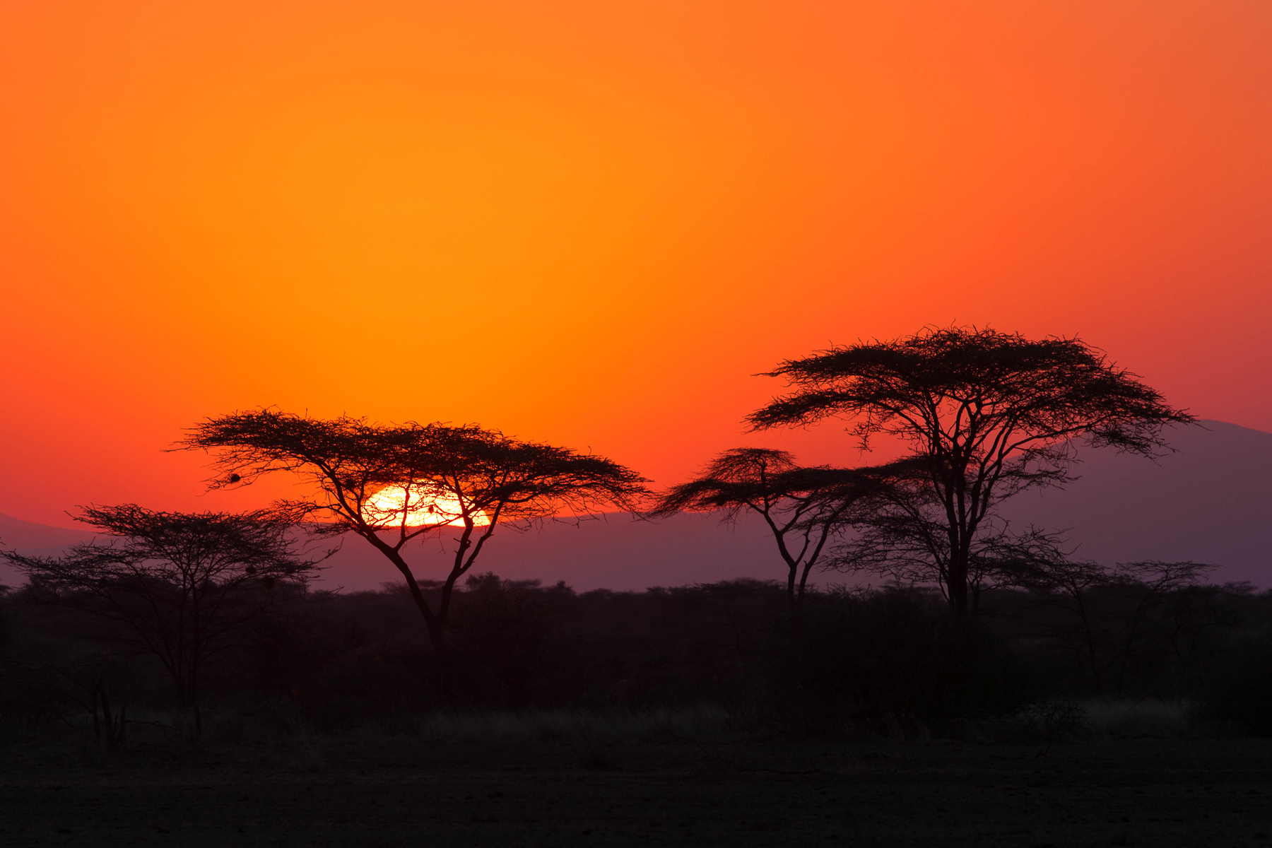 Magical African sunsets in Kenya