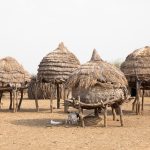 Beautiful Ekores, or traditional Toposa stilted granaries are a classic example of African vernacular architecture