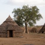 The beautiful layered roofs of Toposa huts