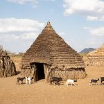 Goats run past the huts of a typical Toposa village