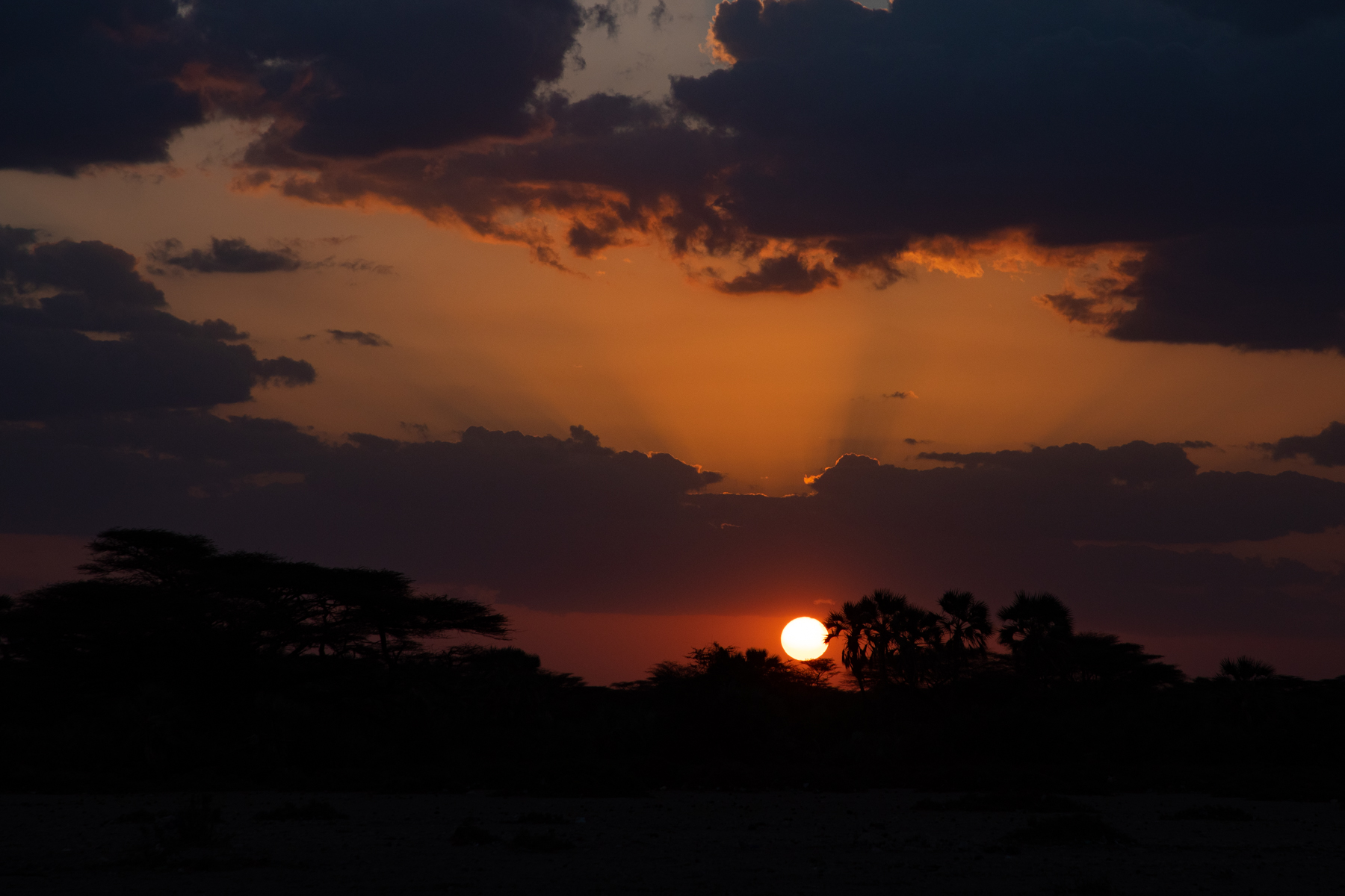 African sunrises are some of the most beautiful in the world