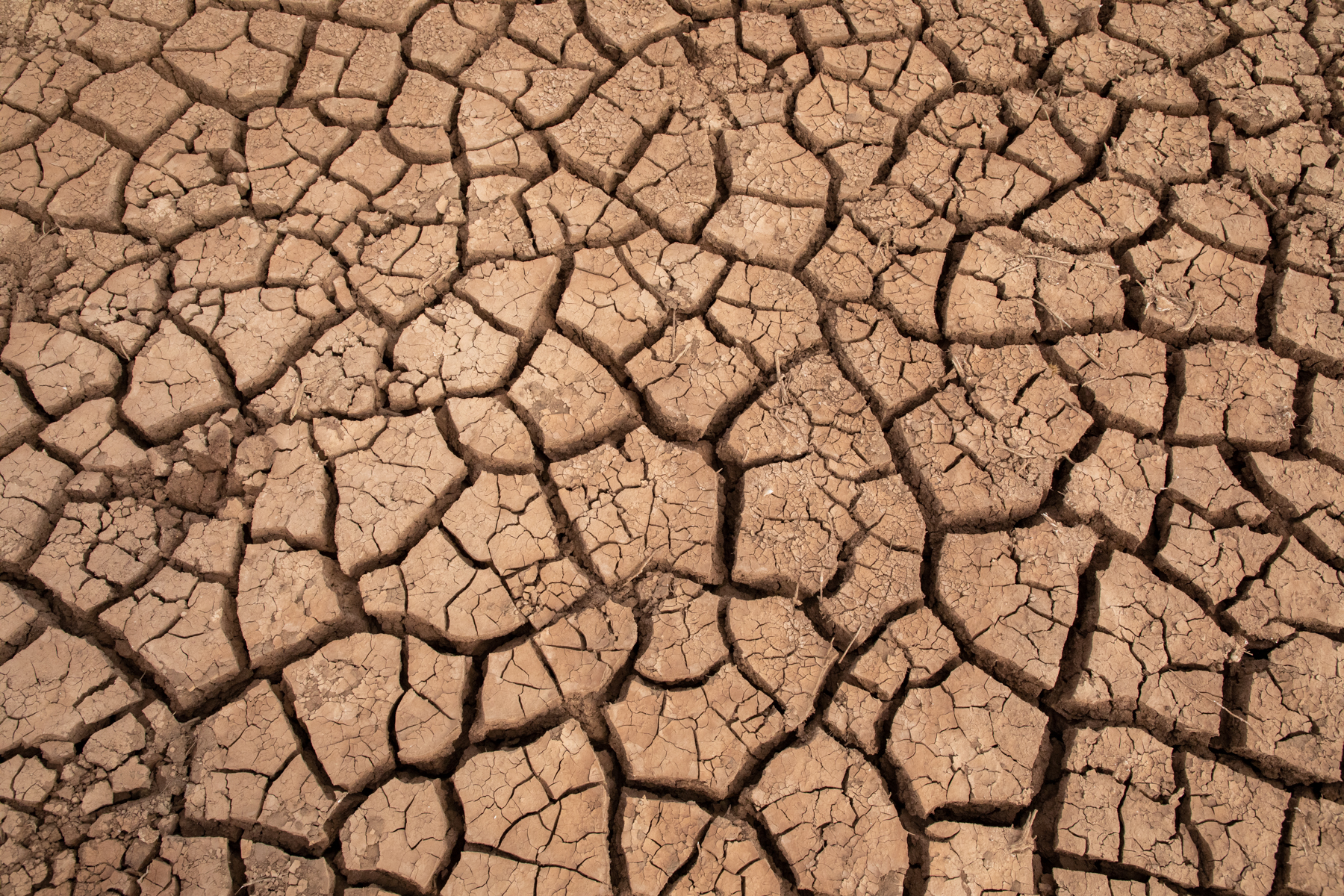 Cracked earth of the Chalbi Desert in northern Kenya