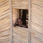 A shy Gabra boy on our photography tour of the Chalbi Desert in Kenya