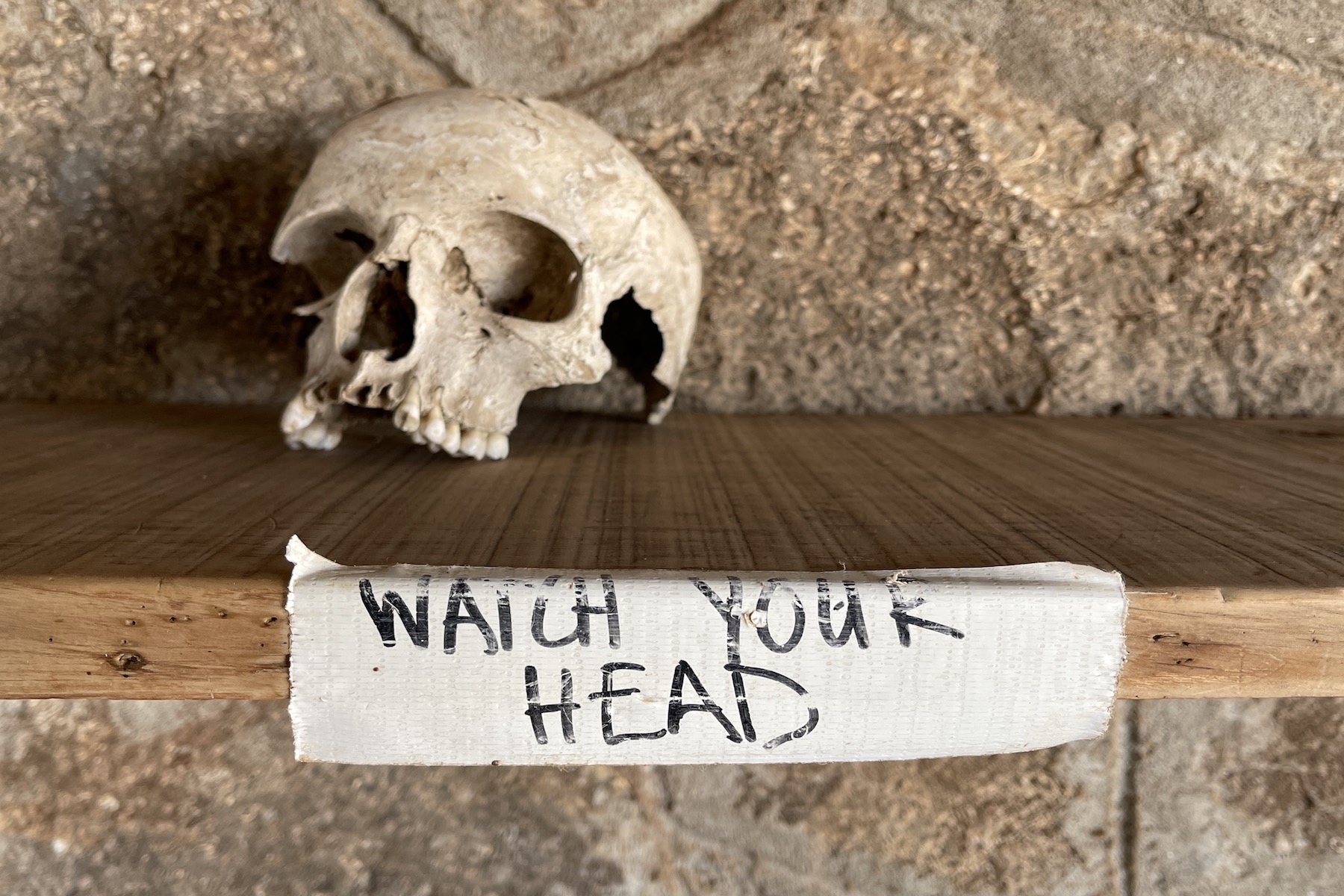 Visit the museum of Richard Leakey at Kobi Foora in northern Kenya