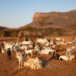 A typical Samburu village at the foot of Mount Ololokwe in northern Kenya