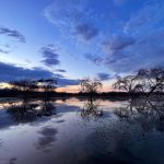 Reflections of the sunset at Lake Baringo in Kenya