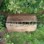 Aerial view of Waorani men building a Peto Baco home in the Amazon of Ecuador