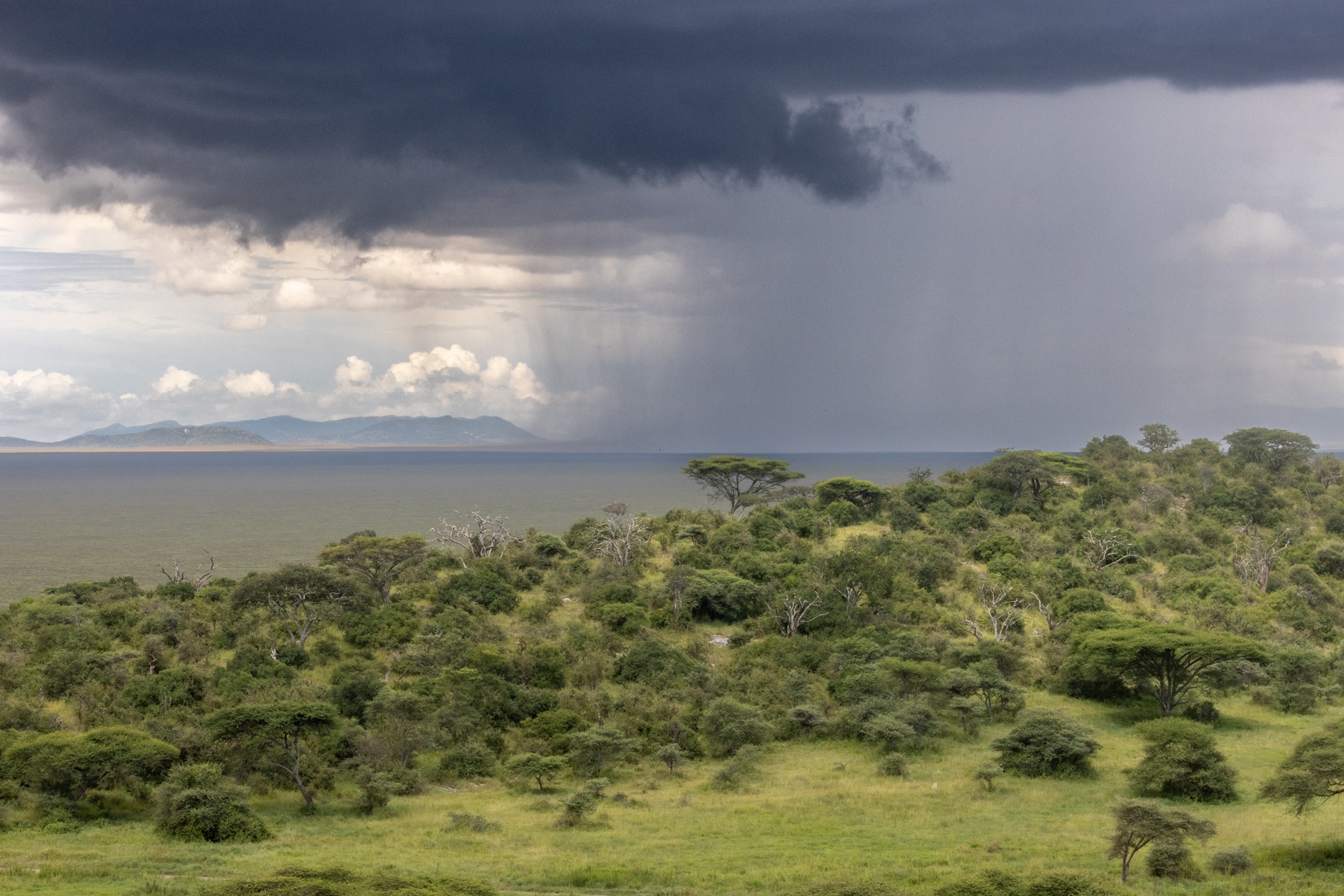 safari fotografico tanzania