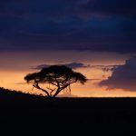 The wondrous beauty of the skies over the Serengeti at the start of the monsoon