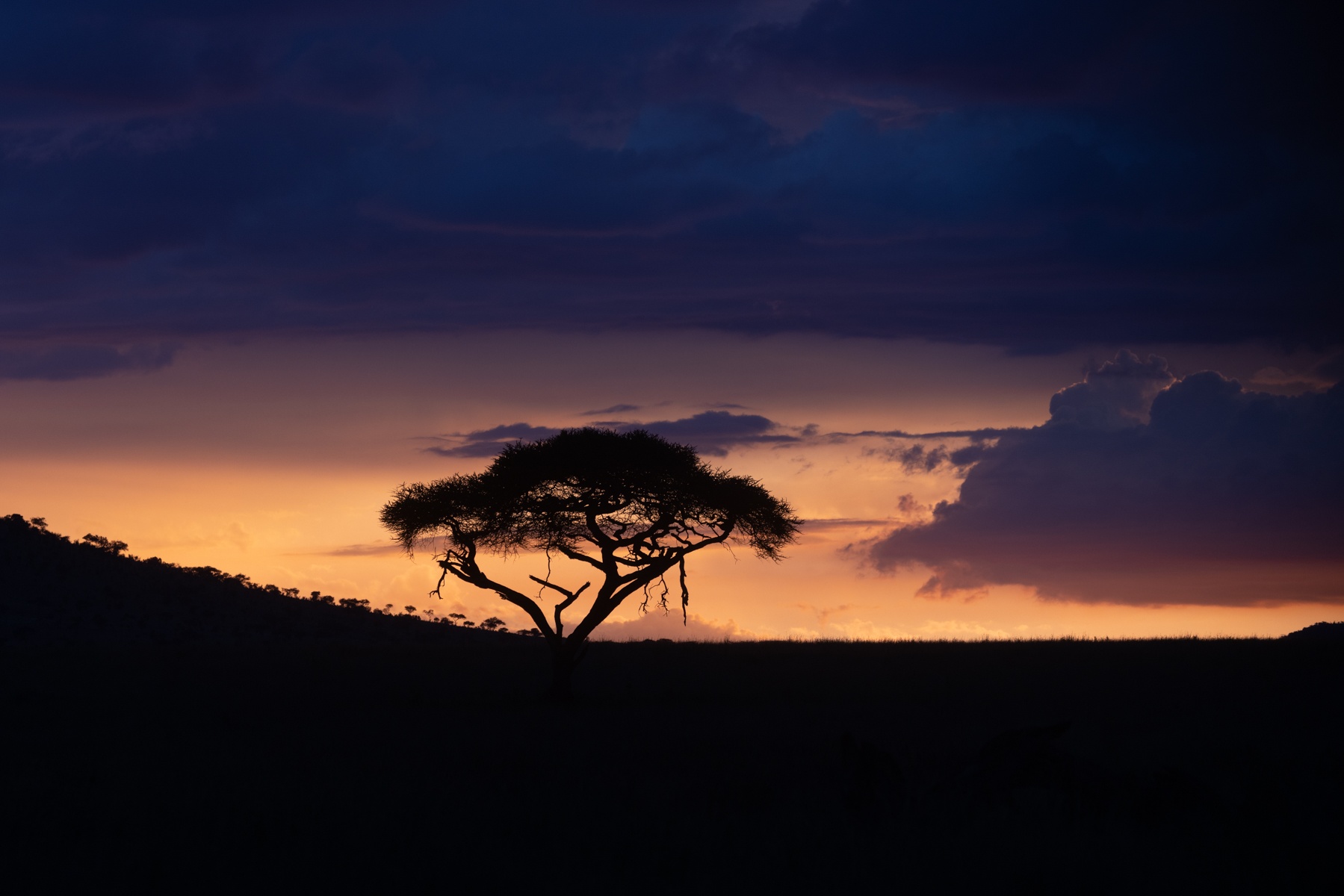 The wondrous beauty of the skies over the Serengeti at the start of the monsoon