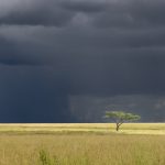 Serengeti storm skies