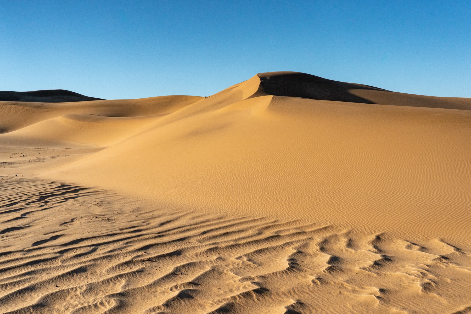 In Namibia's Dorob National Park, the dunes are gorgeous in the early light