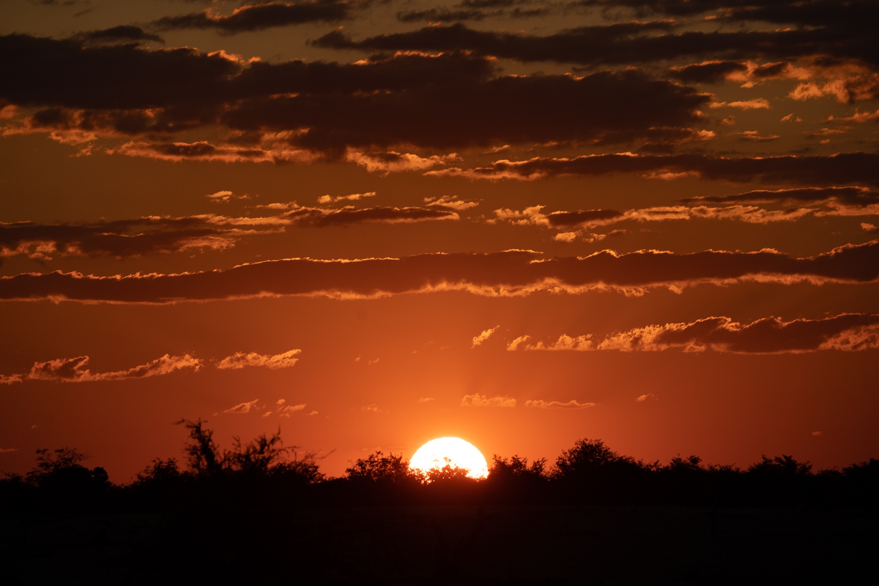 Can you ever photograph too many African sunsets?