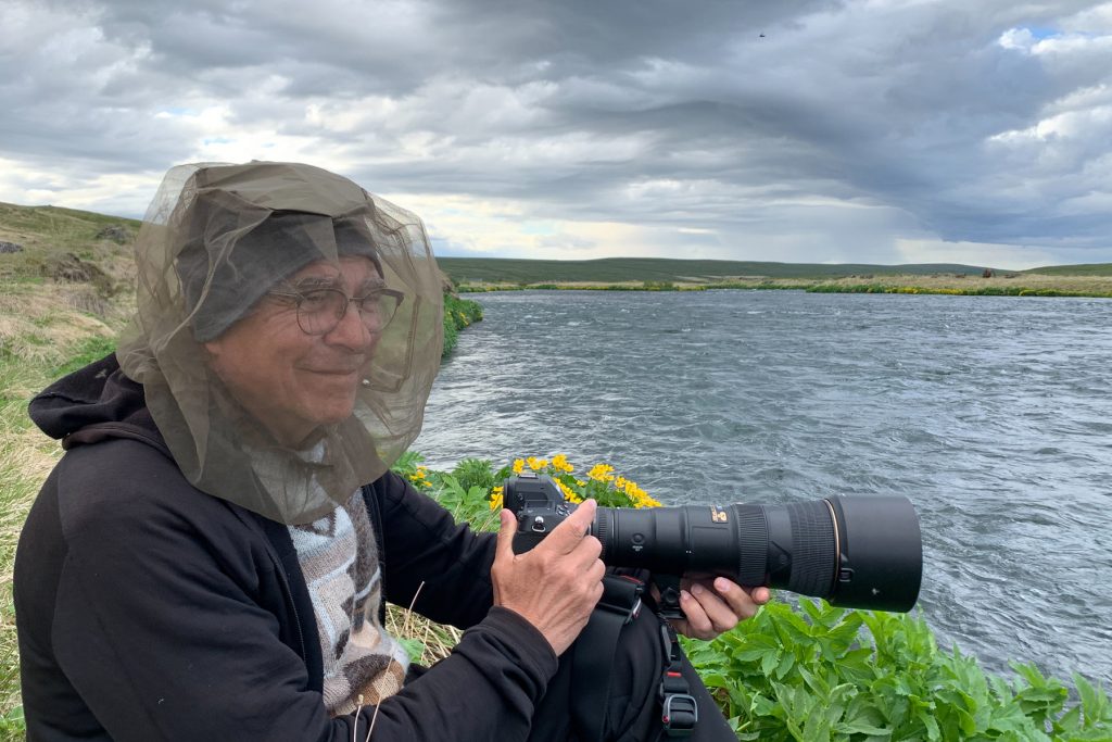 Well it is not called ‘Lake of the Flies’ for no reason, Frédéric near Myvatn (image by Mike Watson)