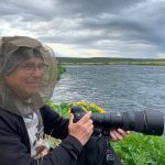Well it is not called ‘Lake of the Flies’ for no reason, Frédéric near Myvatn (image by Mike Watson)