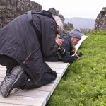 Macro magic happening at Þingvellir (image by Mike Watson)