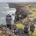 Basalt seabird cliffs at Svötuloft on the Snaefellsnes Peninsula (image by Mike Watson)