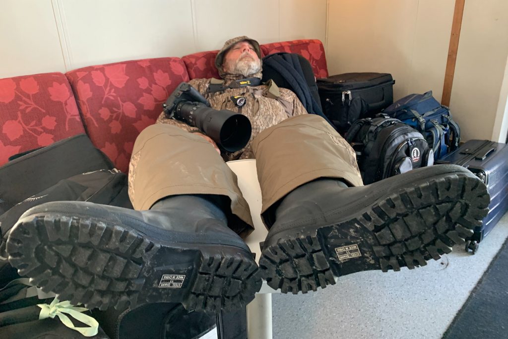 There is plenty to do in the midnight sun in Iceland, you may need to take a nap – Wilo on Ferry Baldur (image by Mike Watson)