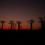 Around 20 minutes after sunset, when the crowds have hurried back to the hotels, a red orange glow appears (image by Mike Watson)
