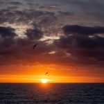 Stunning Falklands sunset (image by Inger Vandyke)
