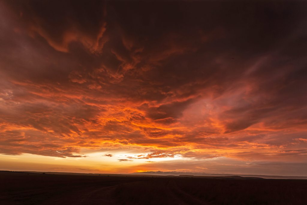 Sky on fire! Probably the most dramatic of the many spectacular sunsets we saw on the Mara (image by Mike Watson)